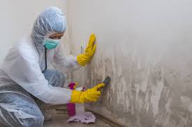 Best Forensic Mold Investigation  in China Lake Acres, CA